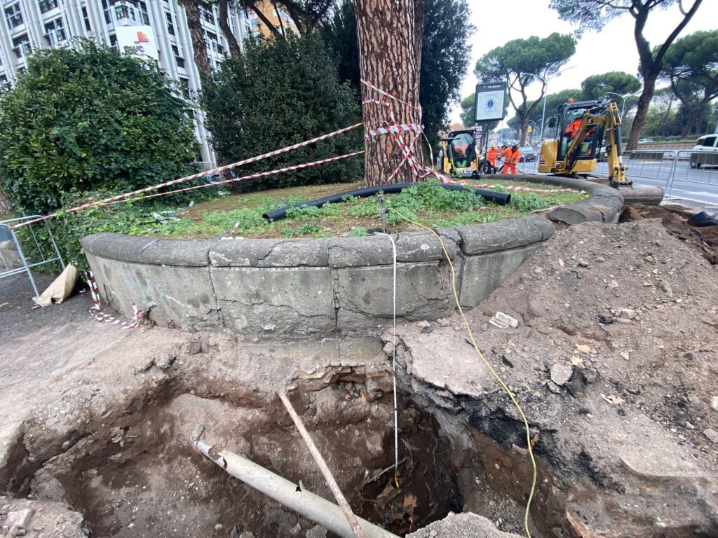 Conformità degli scavi Roma - pino-pinus-pinea -AgroAlberi